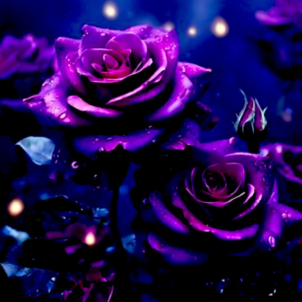 Meet your Posher, Pam